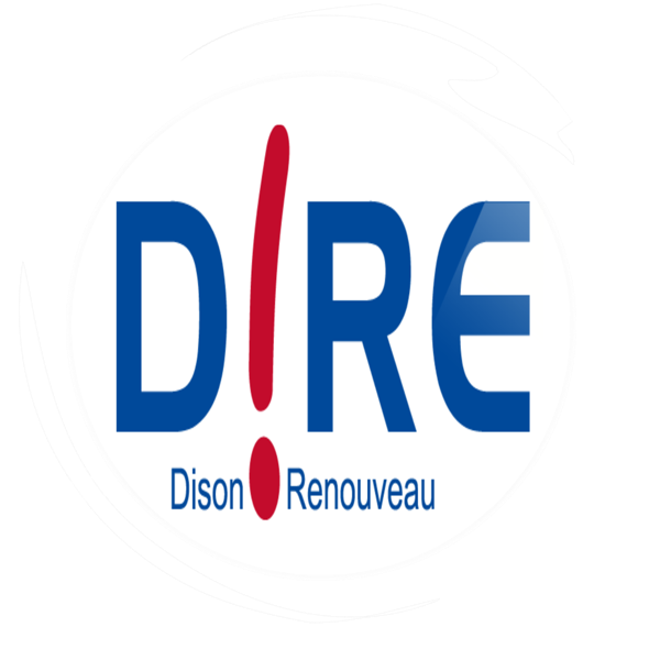 Logo D!RE.png