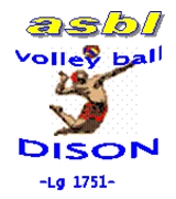 Volley Ball Dison